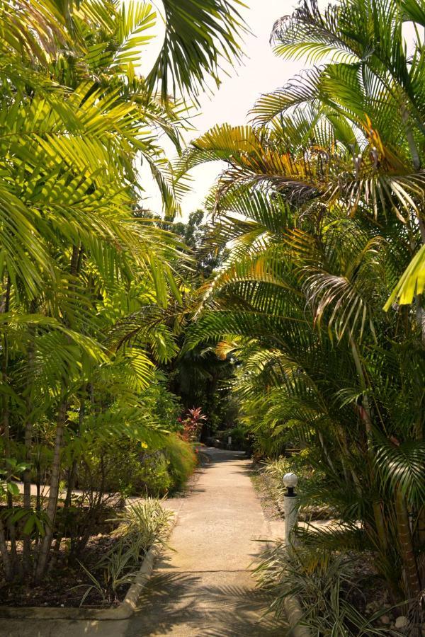 Marcosas Cottages Resort Moalboal Exterior photo